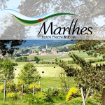 Image de l'actualité
