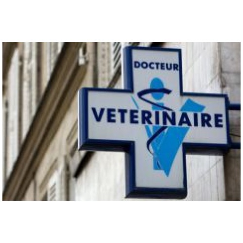 Animaux Clinique Vétérinaire