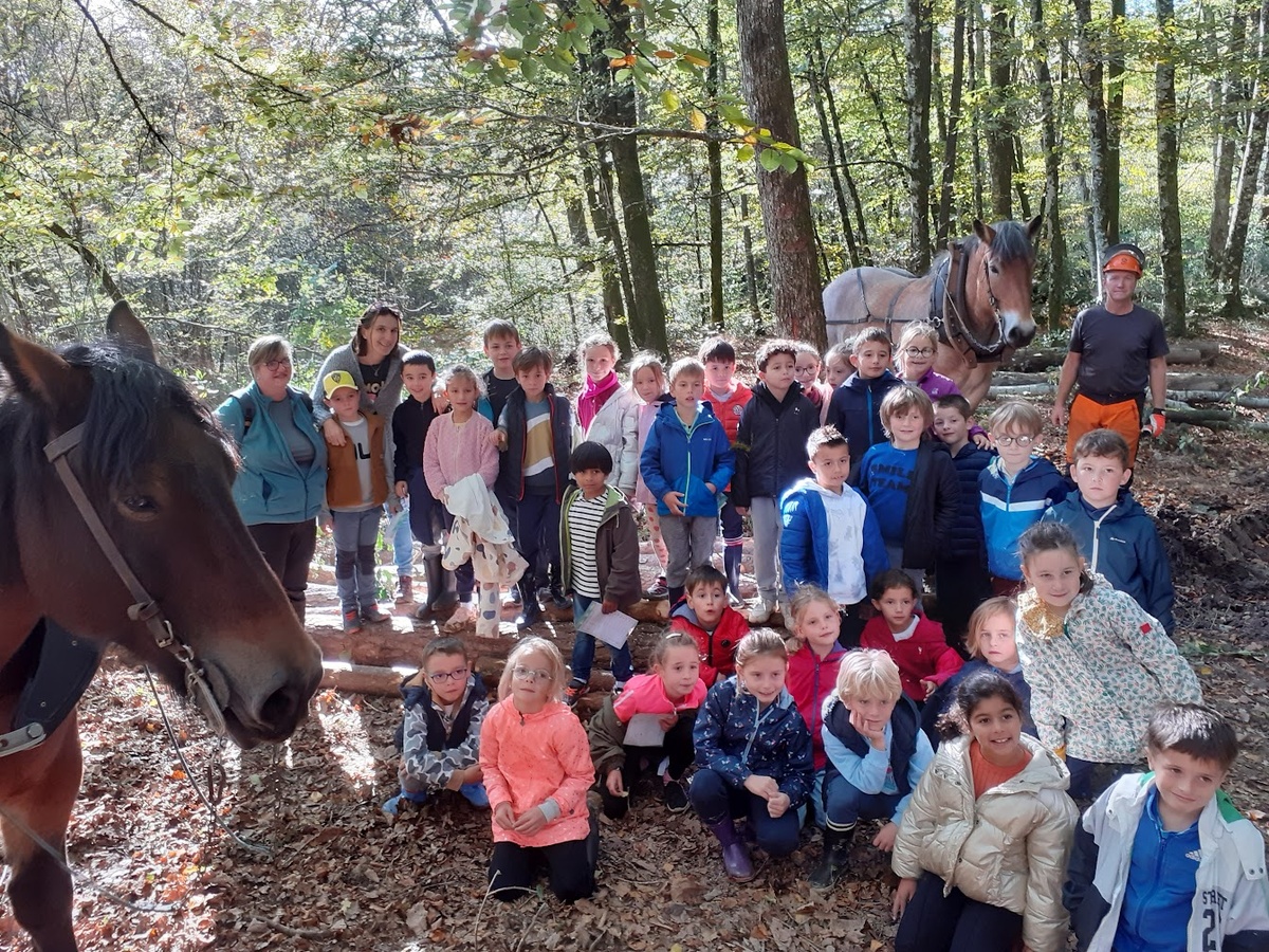 Les écoliers ytracois en immersion pédagogique dans la forêt