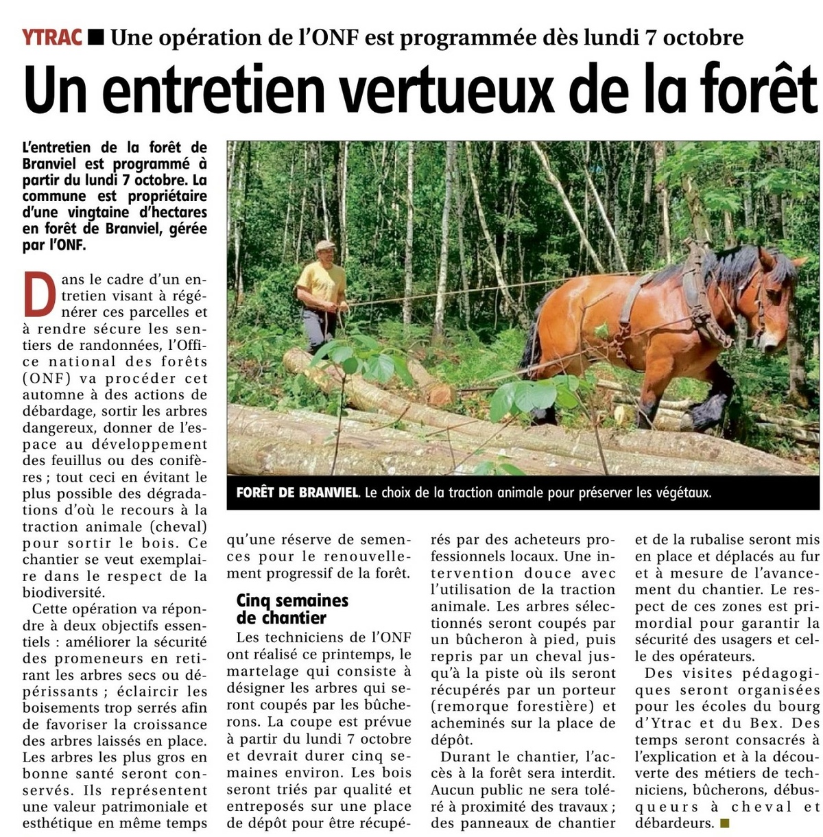 Forêt de Branviel , un entretien vertueux va débuter.