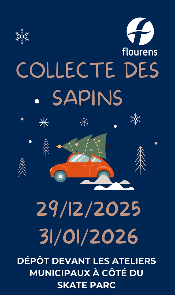 Collecte des sapins