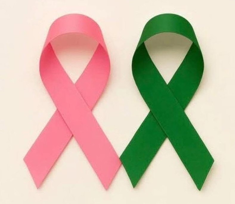 OCTOBRE ROSE : La Marche des Graves Dimanche 11 octobre 2026