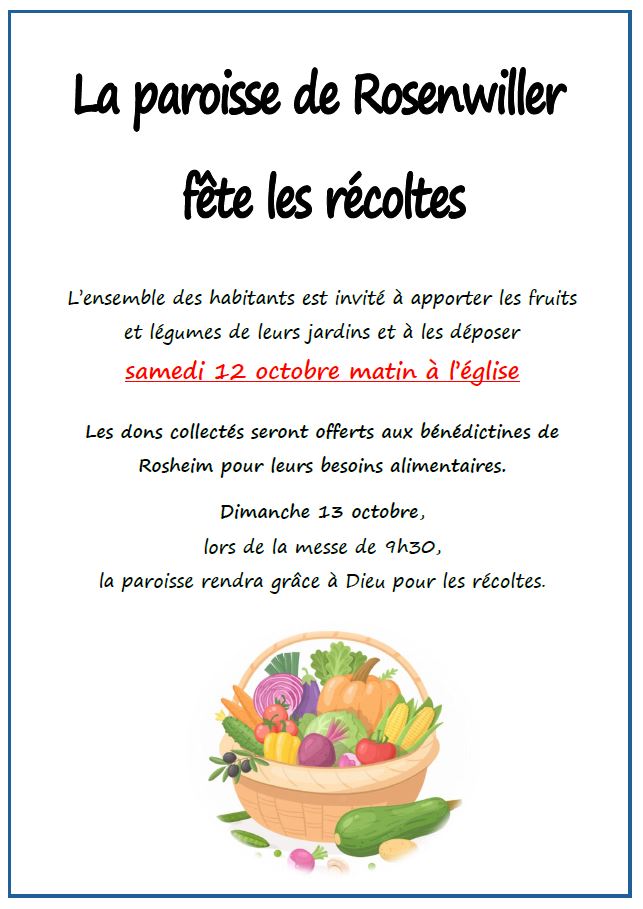 PAROISSE | Récolte fruits & légumes 🥕🍏​​​​​​🍇