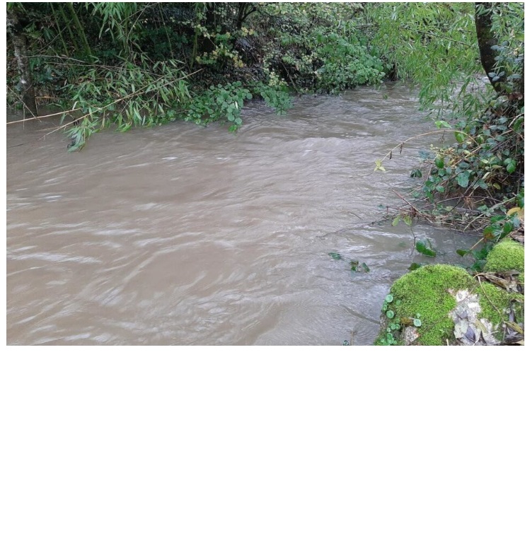 ALERTE VIGILANCE CRUE DU LOIR