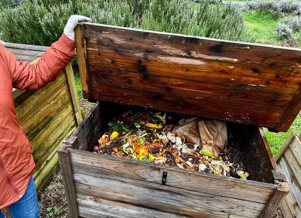 Un composteur dans le centre bourg - Gérer vos déchets !